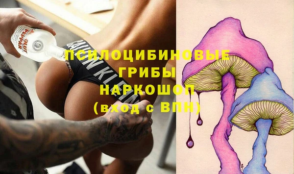 дживик Вязьма