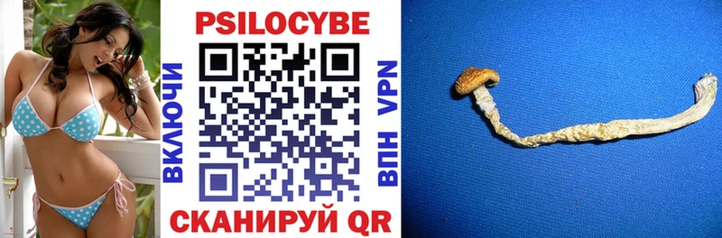 продажа наркотиков Старый Оскол Галлюциногенные грибы Magic Shrooms